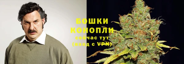 дживик Белокуриха