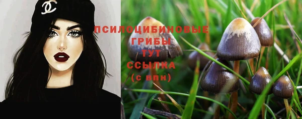 мескалин Богородицк