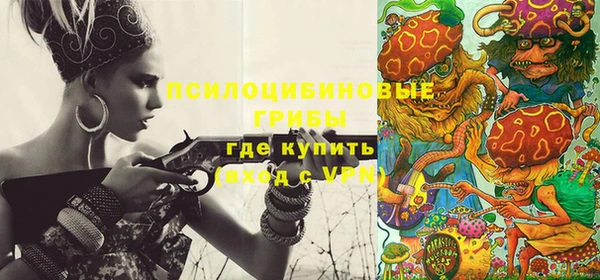 твердый Богородск