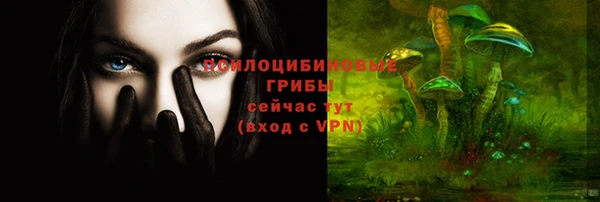мескалин Богородицк
