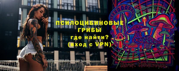 мескалин Богородицк