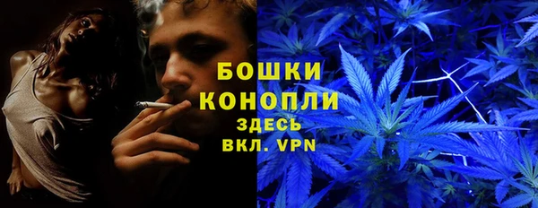 мескалин Богородицк