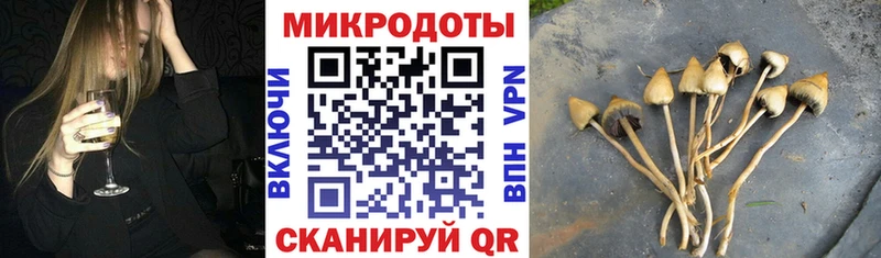 даркнет сайт  Ковдор  Галлюциногенные грибы мицелий 